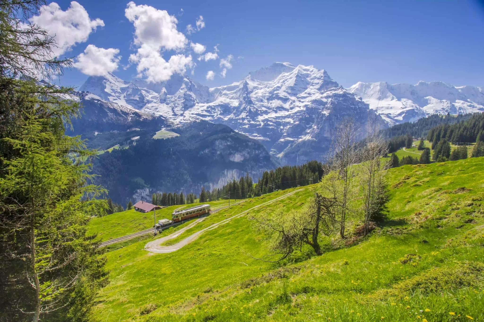 train-runs-through-beautiful-landscape-swiss-alps